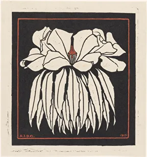 Graag Anna Julia De Prints: Godetia, 1919. Creator: Julie de Graag