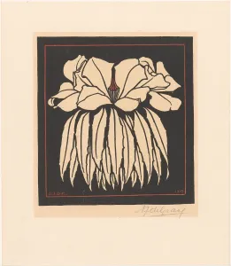 Graag Anna Julia De Prints: Godetia, 1919. Creator: Julie de Graag