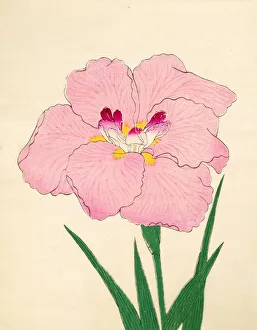 Gofukushoshu, No. 86, 1890, (colour woodblock print)