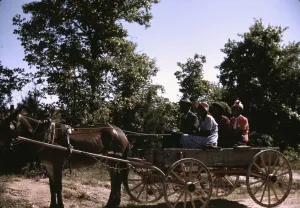 Mules Collection: Going to town on Saturday afternoon, Greene County, Georgia, 1941. Creator: Jack Delano