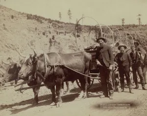 Settlers Prints: Gold Fever Prospectors going to the new Gold Field, 1889. Creator: John C. H. Grabill