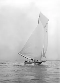 Johan Prints: Gold medal winner Rollo races downwind under spinnaker