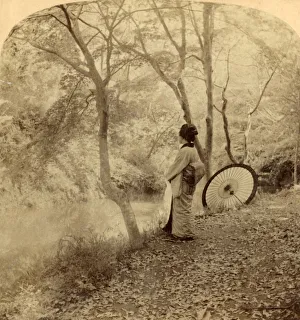 The Golden Days of Autumn in Japan, 1896. Creator: Underwood & Underwood