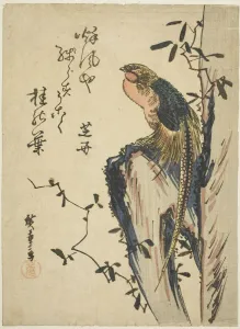 Pheasant Prints: Golden pheasant, 1830s. Creator: Ando Hiroshige