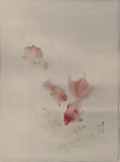 Swimming Prints: Goldfish, ca. 1887. Creator: Watanabe Seitei