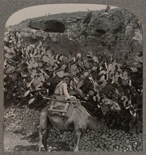 Golgotha (The Place of the Skull), c1900