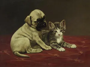 Puppies Prints: Good Friends (Puppy and Kitten), 4th quarter 19th century. Creator: John Henry Dolph