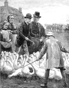 Emslie Prints: The Goose Club Committee - drawn by A. E. Emslie, 1881. Creator: Eugene Froment