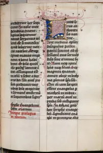 And Gold On Vellum Prints: Gospel Book with Evangelist Portraits: Decorated Initial