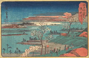 Gotenyama-no Hana. Creator: Ando Hiroshige