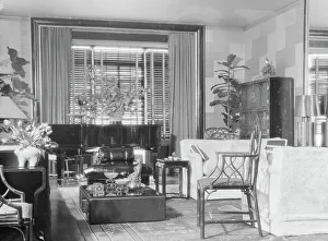 Houseplant Prints: Gould, Jay, Mrs. apartment, 1929 Feb. 16. Creator: Arnold Genthe