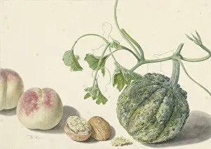 Textured Prints: Gourd, two peaches and a walnut, 1714-1760. Creator: Michiel van Huysum