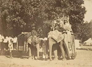 Charlotte Stuart Gallery: Governor Generals State Elephant and Silver Howdah, 1858-61. Creator: Unknown