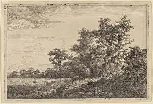 Van Ruisdael Jacob Isaacksz Prints: Grain Field at the Edge of a Wood (Corn Field). Creator: Jacob van Ruisdael