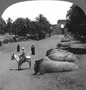 Breasted Collection: Grand avenue approaching the Temple of Karnak, Thebes, Egypt, 1905.Artist: Underwood & Underwood