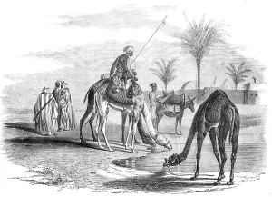 Arabs Prints: Grand Cairo to Gaza - Village on the Borders of the Desert, 1857. Creator: Smyth