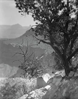 Arizona Prints: Grand Canyon, Arizona, between 1899 and 1928. Creator: Arnold Genthe