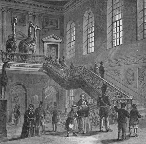 Bloomsbury Prints: Grand staircase of Montagu House, Bloomsbury, London, c1830 (1878)
