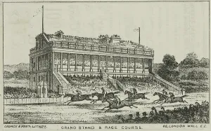 Race Course Prints: The Grand Stand and Race Course at Alexandra Palace, 19th century. Creator: George & Hast
