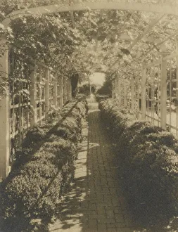 Trellis Prints: Grape arbor, George Read II house