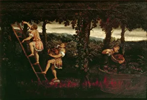 Paris 1500 1571 Prints: The grape harvest, c. 1550. Creator: Bordone, Paris (1500-1571)