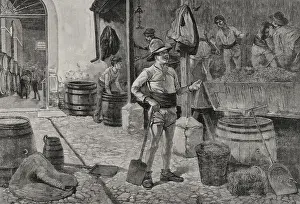 Barrels Prints: The grape harvest in Jerez, Andalusia, Spain, 1898. Creator: Arturo Carretero y Sanchez