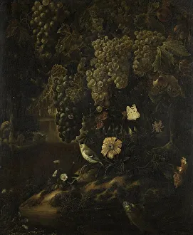 Green Grape Prints: Grapes, Flowers and Animals, 1665-1719. Creator: Isac Vromans