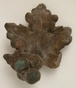Grapes and Grape Leaf, Coptic, 3rd century. Creator: Unknown Grapes and Grape Leaf, Coptic, 3rd century. Creator: Unknown