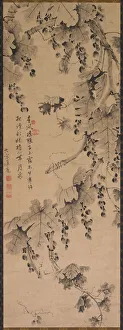 1644 1911 Prints: Grapevine, 1700s to 1800s. Creator: Unknown