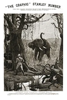 Front Cover Prints: The Graphic Stanley Number; Lieutenant Stairs Charged by a Wounded Elephant