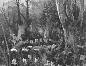 John Rowlands Prints: The Graphic Stanley Number; The Vanguard of the Expedition Marching throughthe Primaeval Forest