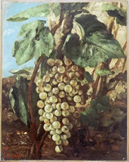 Vine Leaves Prints: Grappe de raisins, 1871. Creator: Gustave Courbet