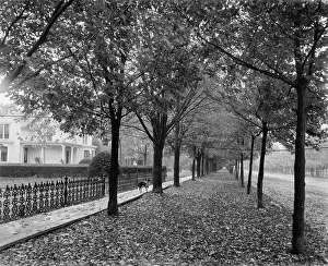 Autumnal Prints: Gratiot Ave. and Church St. Mt. Clemens, between 1880 and 1899. Creator: Unknown