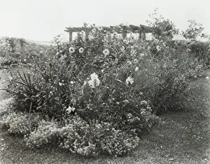 Hill Anna Gilman Prints: Gray Gardens, Robert Carmer Hill house