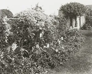 Hill Anna Gilman Prints: Gray Gardens, Robert Carmer Hill house
