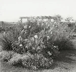 Gray Gardens, Robert Carmer Hill house, Lily Pond Lane, East Hampton, New York, c1914. Creator: Frances Benjamin Johnston. Gray Gardens, Robert Carmer Hill house, Lily Pond Lane, East Hampton, New York, c1914