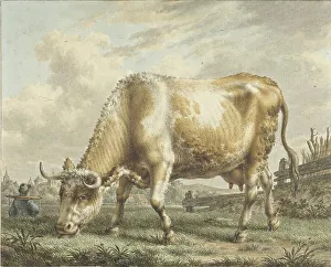 Cats Jacob Prints: Grazing Cow, 1783. Creator: Jacob Cats