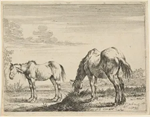 Dirck Stoop Prints: Two Grazing Horses, 1651. Creator: Dirck Stoop
