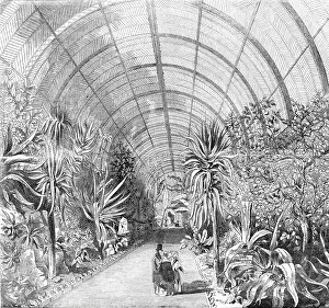Glass Gallery: The great Chatsworth Conservatory - the interior, from the Central Walk, 1844