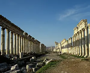 Great Colonnade and Cardo Maximus, Apamea, Syria, 2nd century, (2001). Creator: LTL