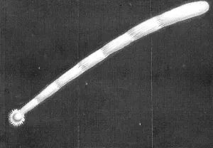 Sir Isaac Collection: Great comet of 1680 (Kirch) as it appeared as it approached the Sun
