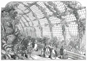 Glasshouse Prints: The Great Conservatory in the Gardens of the Horticultural Society