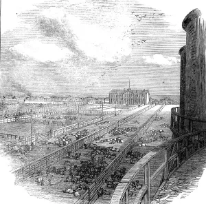 Pens Prints: The Great Fire at Chicago: stock-yards, 1871. Creator: Unknown