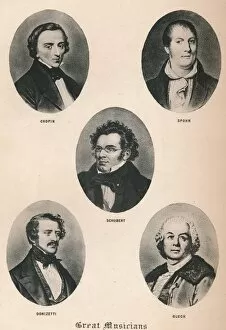 Donizetti Gallery: Great Musicians - Plate XIII. 1895