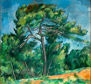 Seasons Prints: The Great Pine (Le Grand Pin), 1890-1896. Creator: Cézanne, Paul (1839-1906)