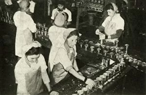 The Great Salmon Industry - Indian girls working in the canning department, c1948