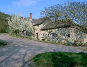 Great Seaside house, Branscombe, Devon