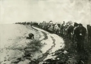 Albania Prints: The Great Serbian Retreat, (1919). Creator: Unknown