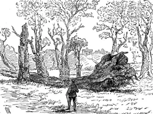 Eton Berkshire England Prints: The Great Storm of Wind on Friday week: a tree uprooted near the bridge