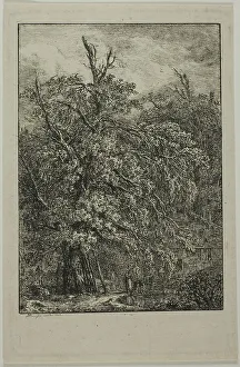 Domenico Quaglio Ii Prints: Great Tree, 1809. Creator: Domenico Quaglio II